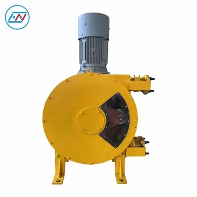 Mineralbearbetningsslangpump